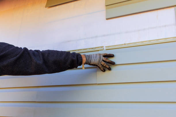 Trusted Ina, IL Siding Experts